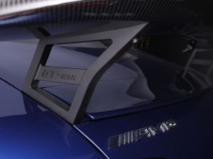 Piecha rear wing fits for Mercedes AMG GT W190