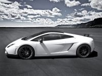 JMS Exklusiv Line Seitenschweller Set Sichtcarbon mit Klarlack passend für Lamborghini Gallardo